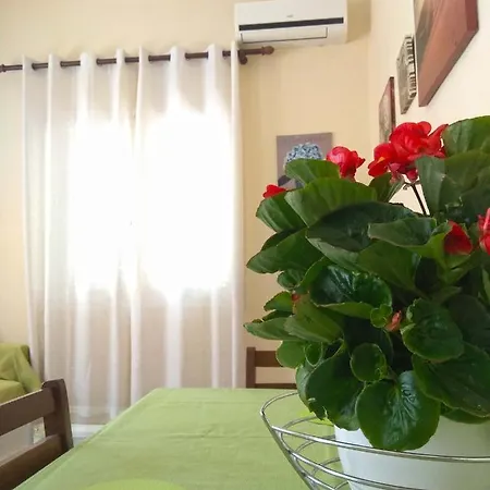 Appartement Olea