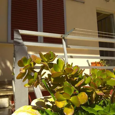 Olea Appartement Lefkáda
