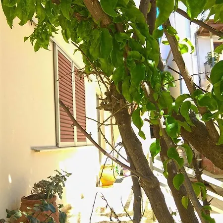 Appartement Olea Lefkáda