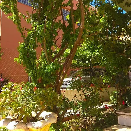 Olea Appartamento